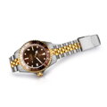 Steinhart Ocean 39 GMT.2 two-tone CHOCOLATE