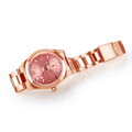 Steinhart Ocean 39 Adventure pink gold