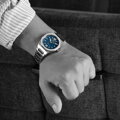 Steinhart  Architect blue