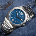 Steinhart  Architect blue